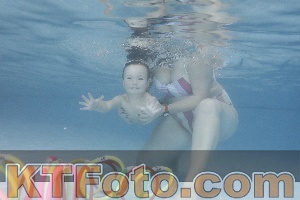 Photo 4208503