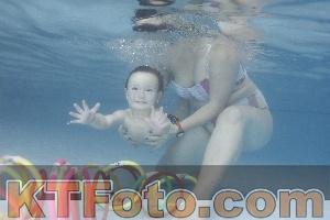 Photo 4208504