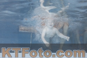 Photo 4208507