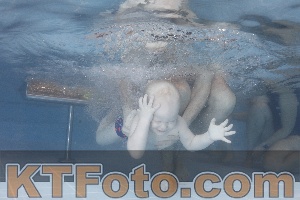 Photo 4208508