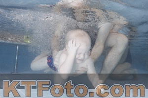 Photo 4208509
