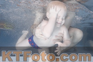 Photo 4208510