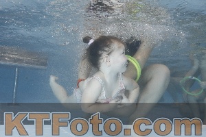 Photo 4208511