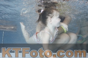 Photo 4208512