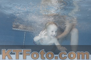 Photo 4208514