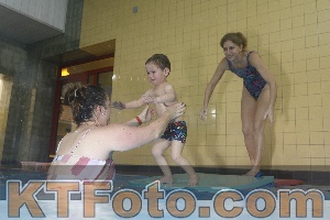 Photo 4208543