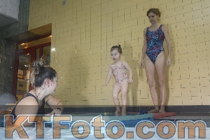 Photo 4208545