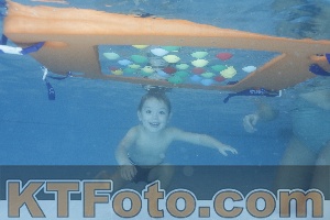 Photo 4208668