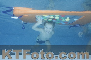Photo 4208670