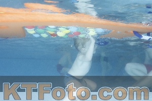 Photo 4208671