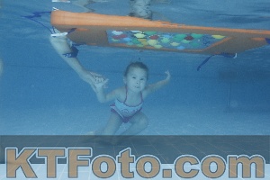 Photo 4208675