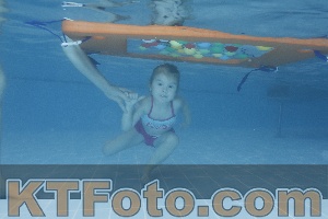 Photo 4208676