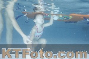 Photo 4208678
