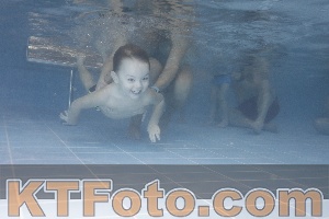 Photo 4208694