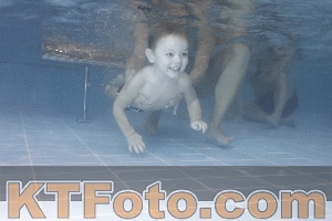 Photo 4208695