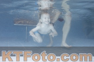 Photo 4208697