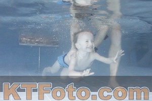 Photo 4208698