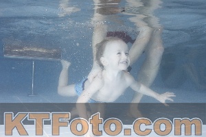 Photo 4208699