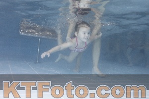 Photo 4208702