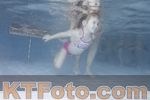 Photo 4208703