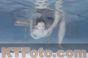 Photo 4208704
