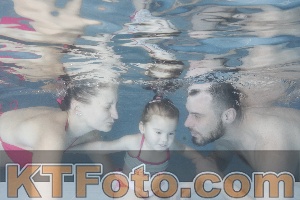 Photo 4208738