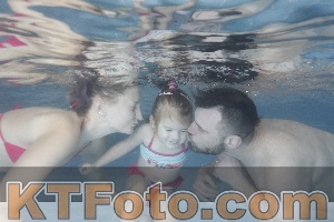 Photo 4208739