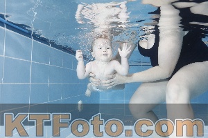 Photo 4208829