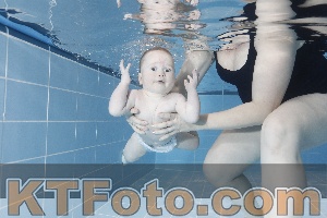 Photo 4208830