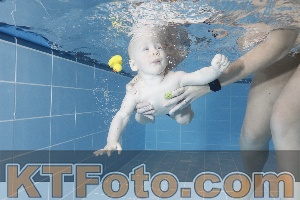 Photo 4208832