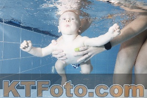 Photo 4208833