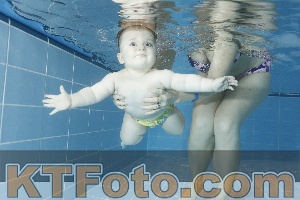 Photo 4208838