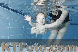 Photo 4208840