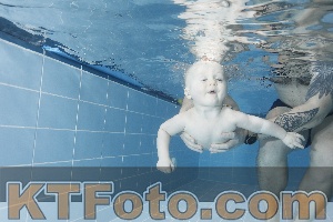 Photo 4208842