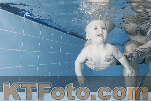 Photo 4208843