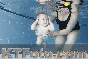 Photo 4208845