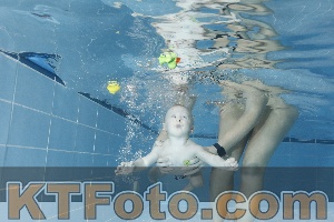 Photo 4208846