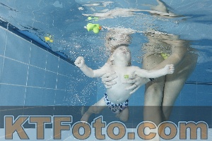 Photo 4208847