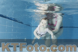 Photo 4208848