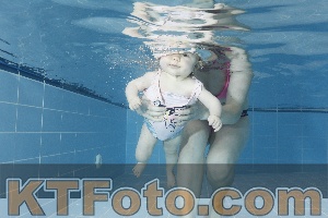 Photo 4208849