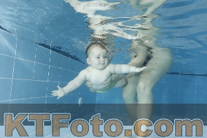 Photo 4208850