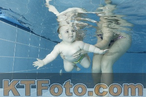 Photo 4208851