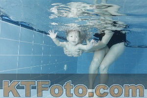 Photo 4208852