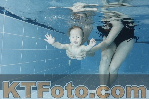 Photo 4208853