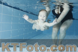 Photo 4208854
