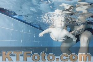 Photo 4208855