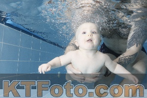 Photo 4208857