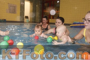 Photo 4208859