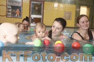 Photo 4208864