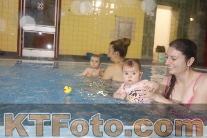 Photo 4208874